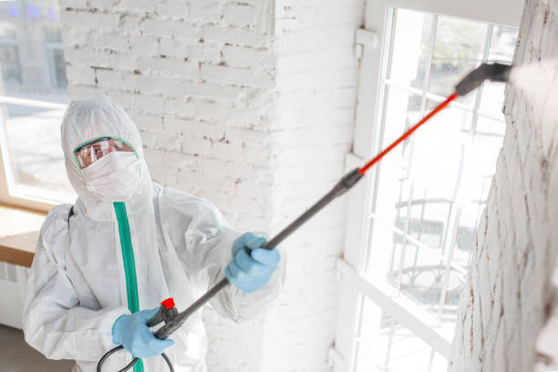 Reliable Darby, PA Mold Inspection, Removal & Remediation Solutions